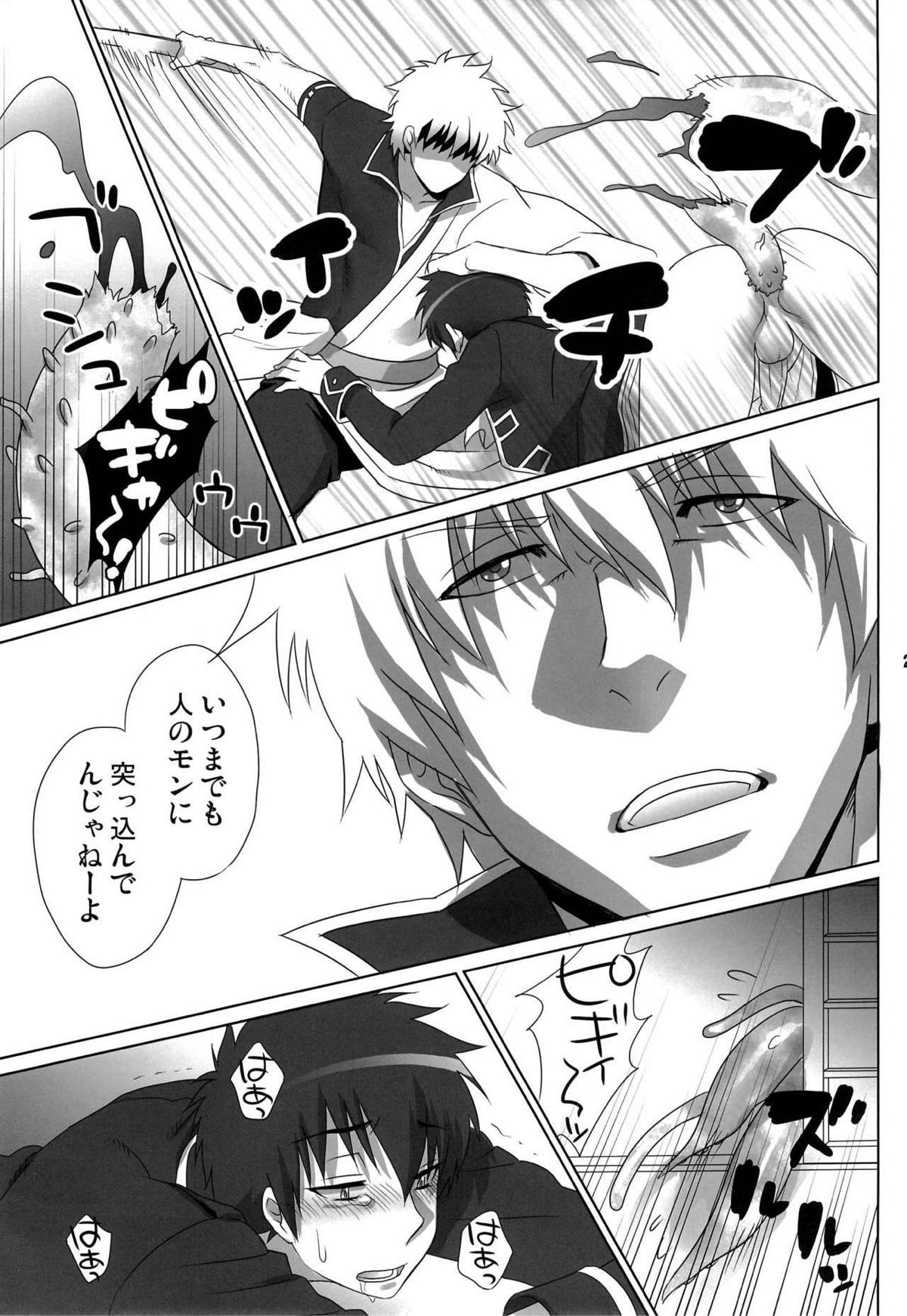 ペットの躾くらいちゃんとしとけ!!【銀魂/銀土】 page 18