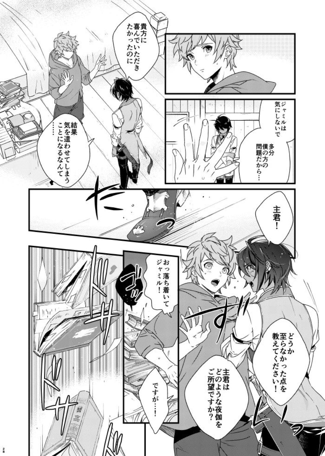 朝までいっしょにねむりたい【グランブルーファンタジー/グラジャミ】 page 27