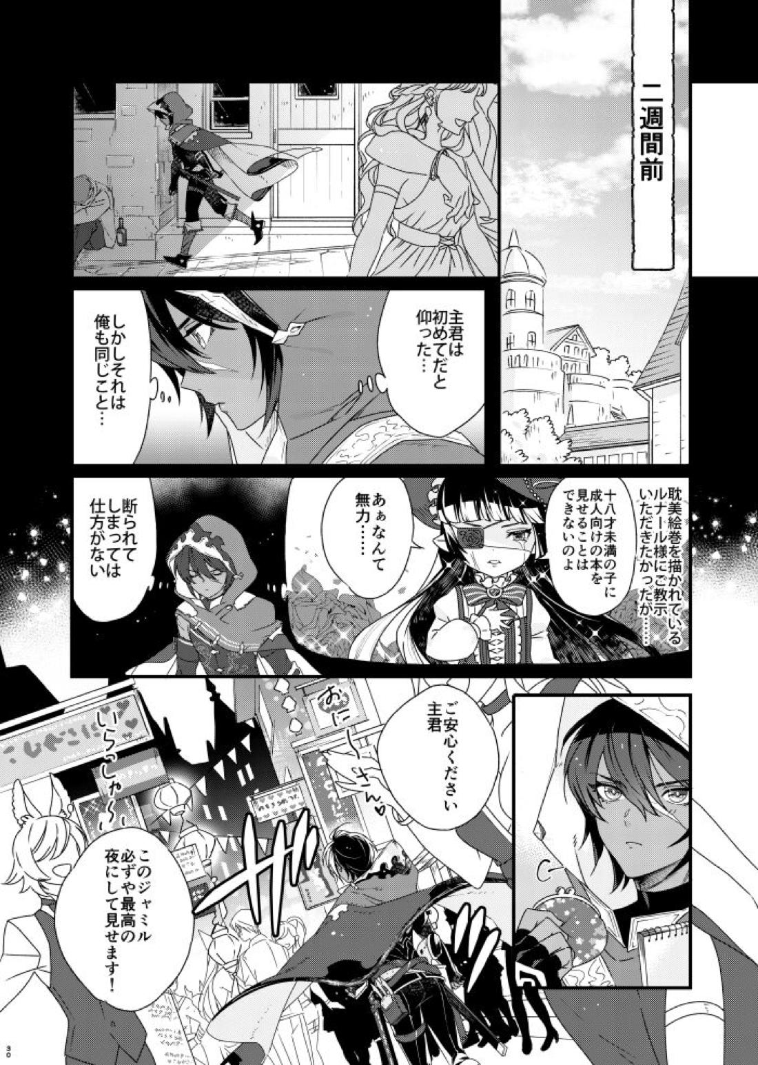 朝までいっしょにねむりたい【グランブルーファンタジー/グラジャミ】 page 29