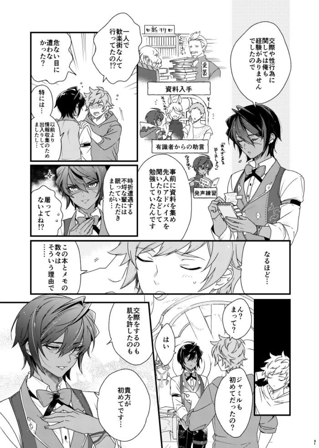 朝までいっしょにねむりたい【グランブルーファンタジー/グラジャミ】 page 30