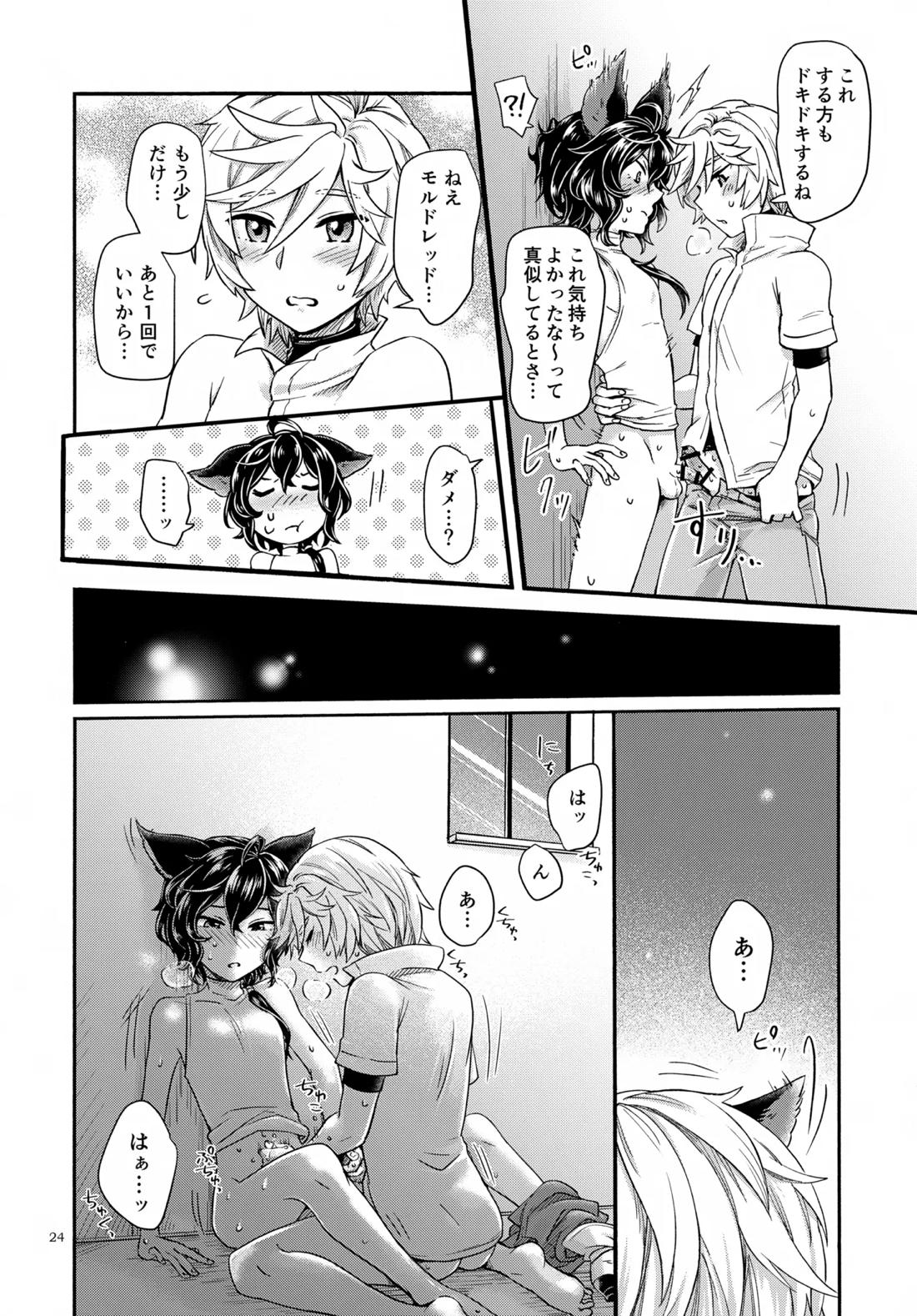 わかばとひなどり【グランブルーファンタジー/アーサー×モルドレッド】 page 23