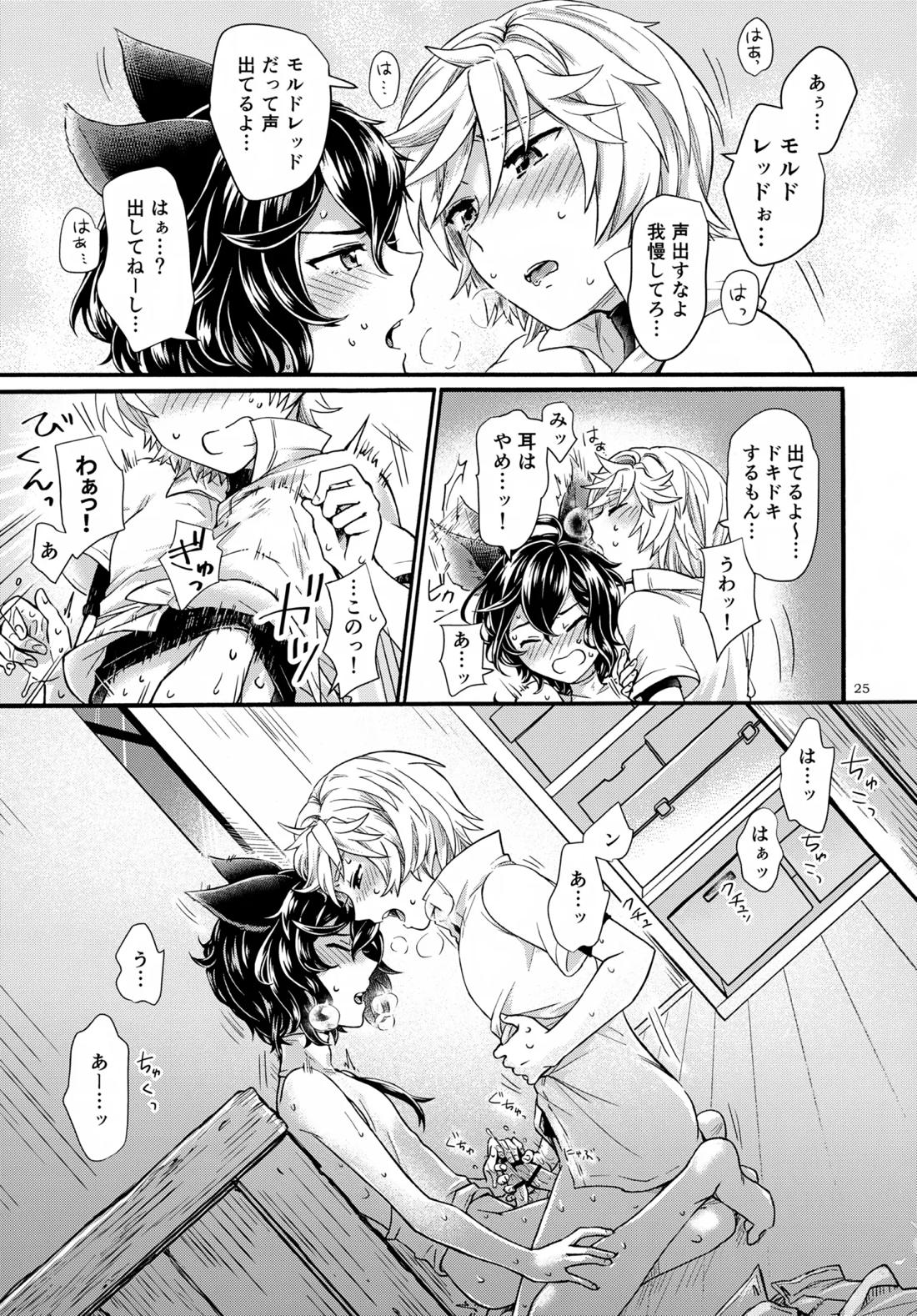 わかばとひなどり【グランブルーファンタジー/アーサー×モルドレッド】 page 24