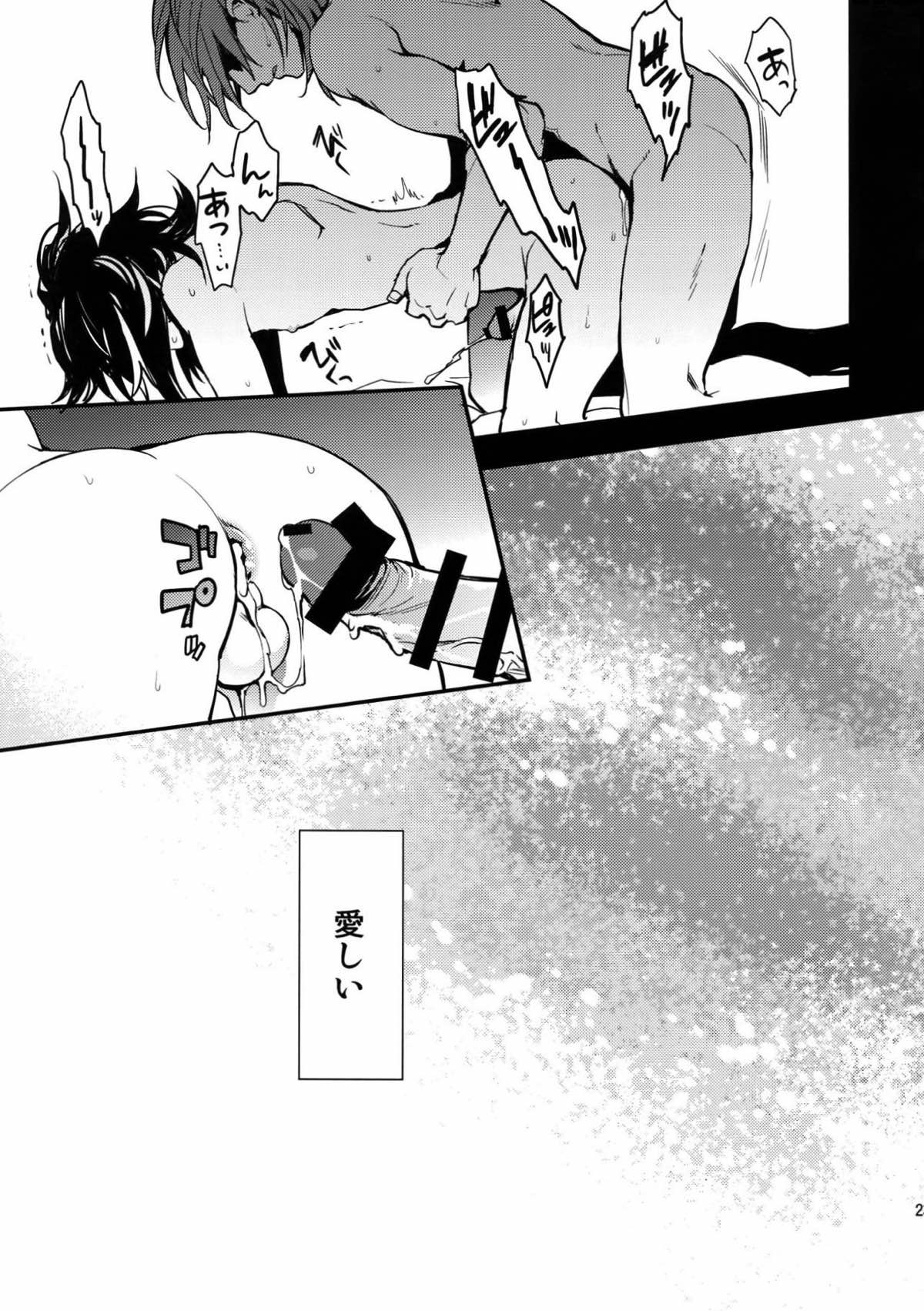 以心伝心.【グランブルーファンタジー/パシラン】 page 22