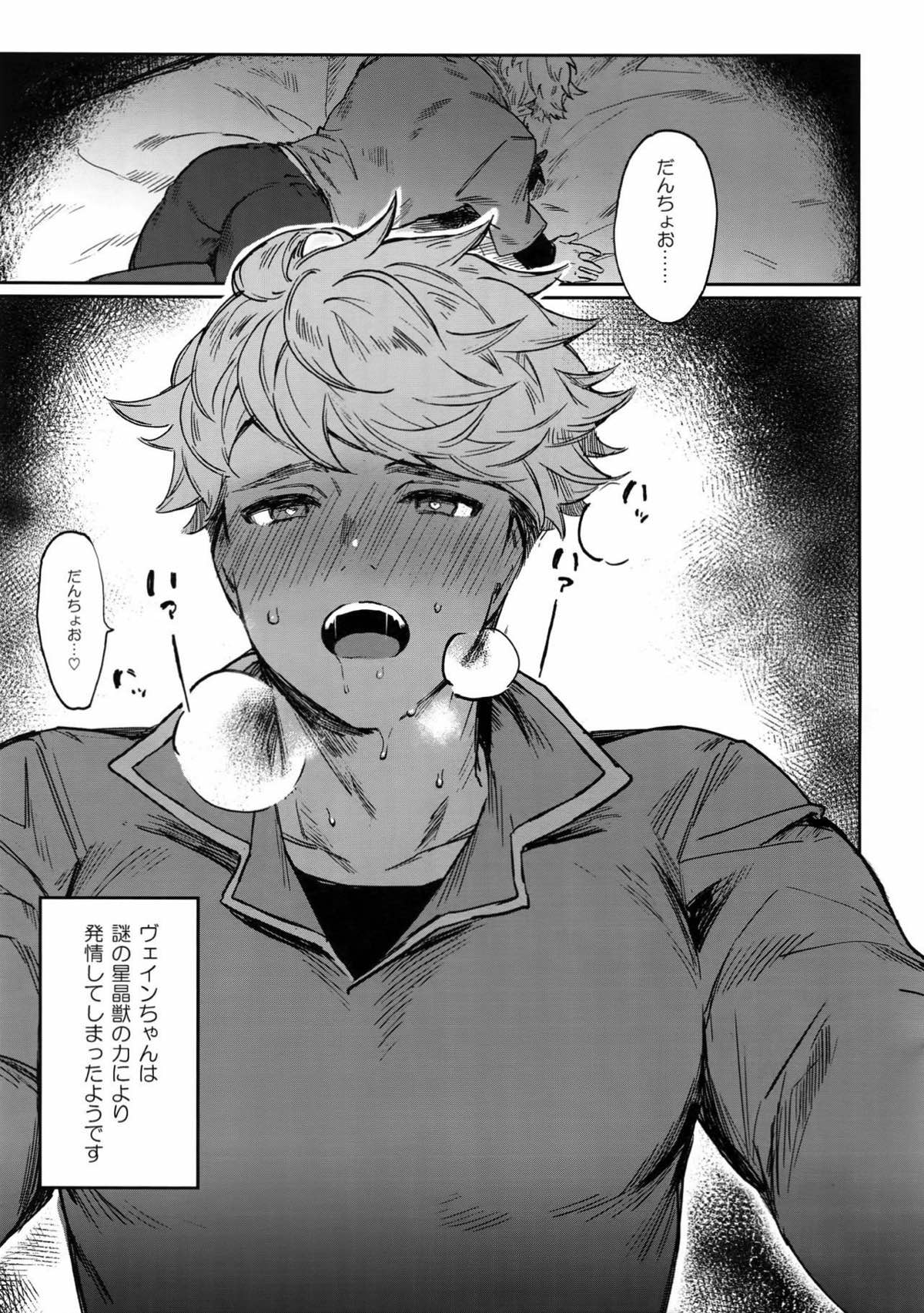 Sleep,Love,Heart,Eat,【グランブルーファンタジー/モブ団長×ヴェイン】 page 25