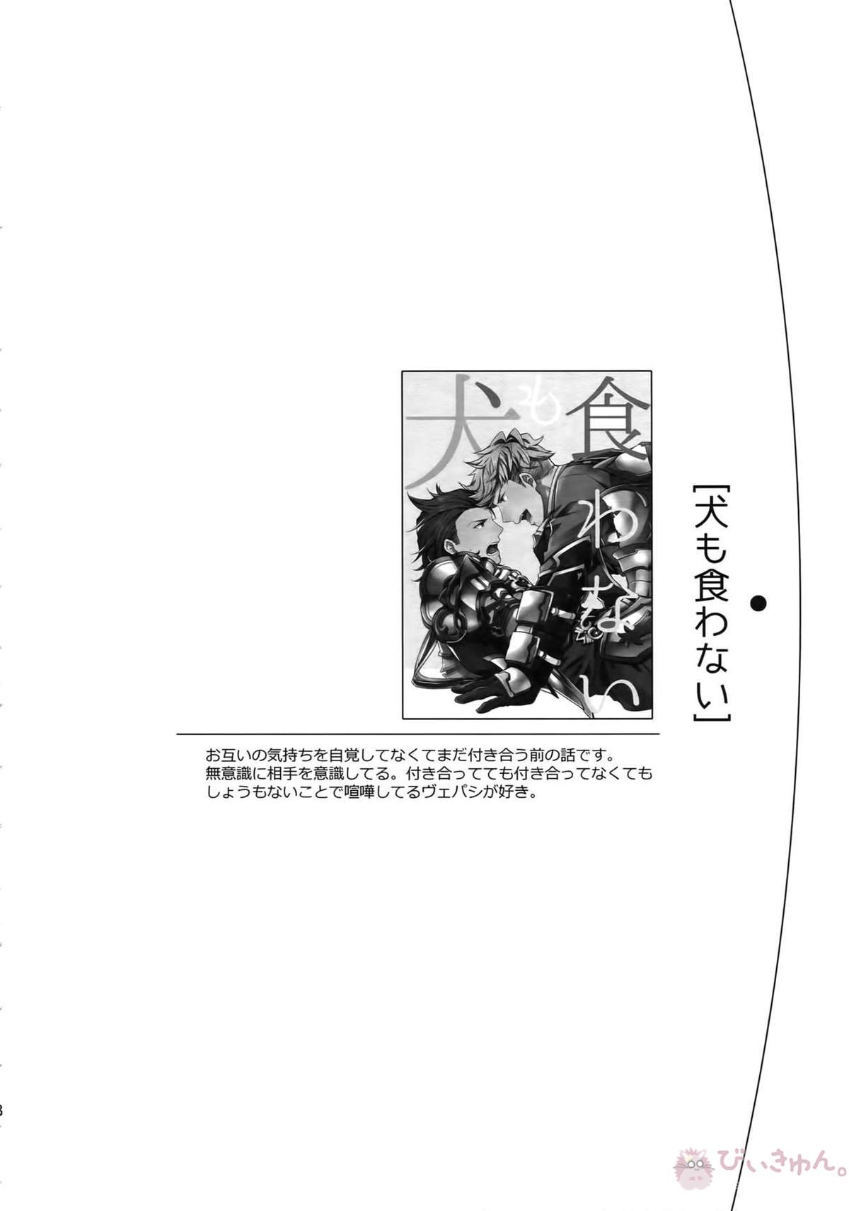 再録【グランブルーファンタジー/ヴェパシ】 page 28