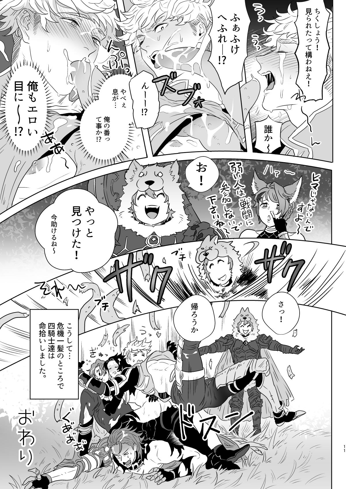 四騎士Level1【グランブルーファンタジー】 page 11