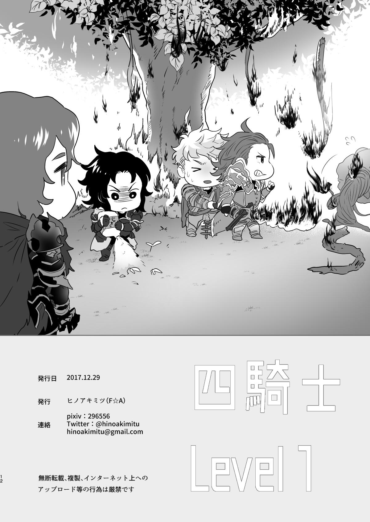 四騎士Level1【グランブルーファンタジー】 page 12
