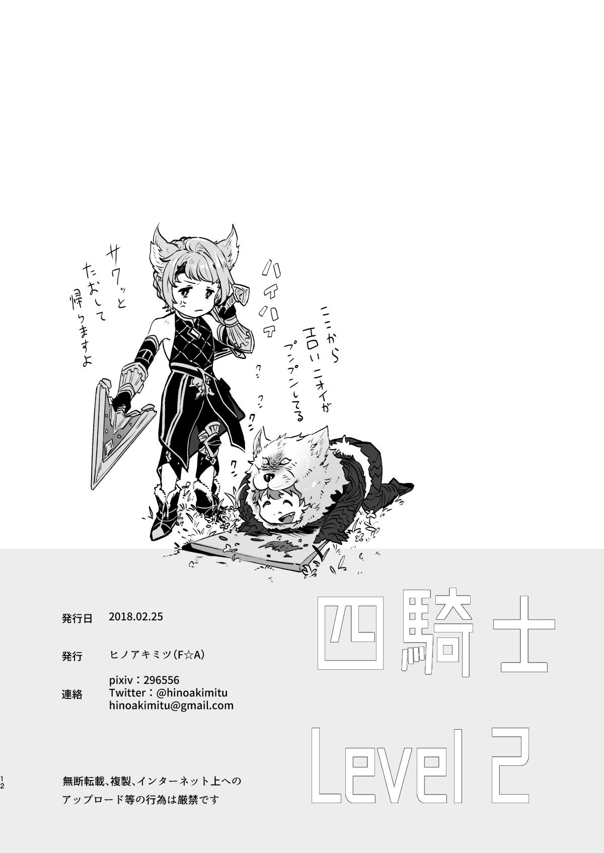 四騎士Level2【グランブルーファンタジー/ヴェパシ】 page 12