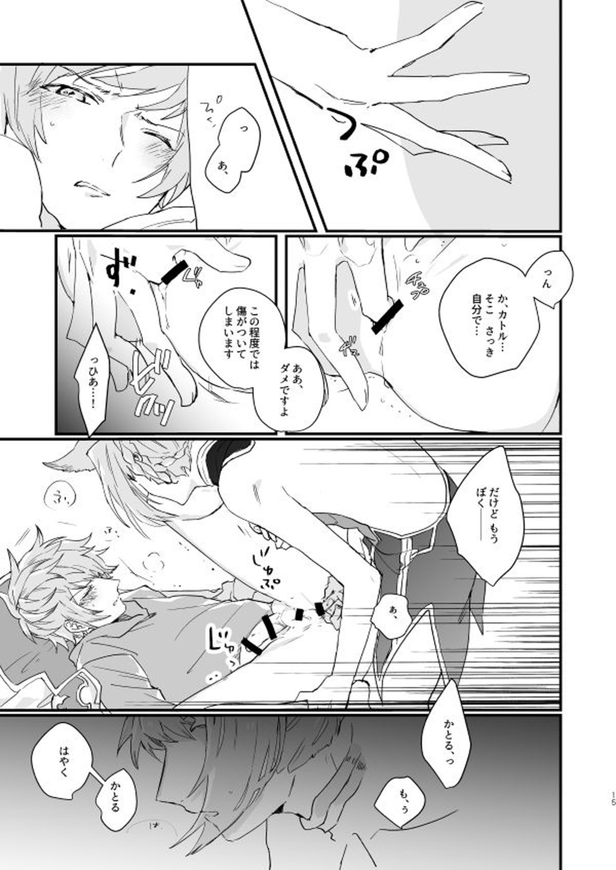 アドアステラ・インサニア【グランブルーファンタジー/カトグラ】 page 13