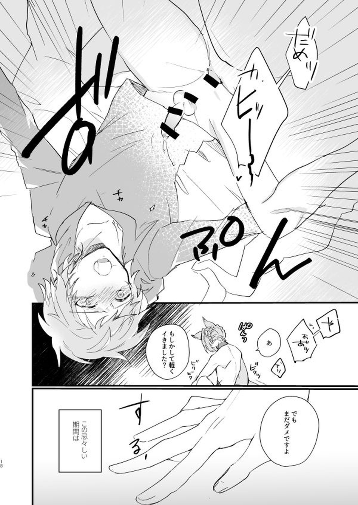 アドアステラ・インサニア【グランブルーファンタジー/カトグラ】 page 16