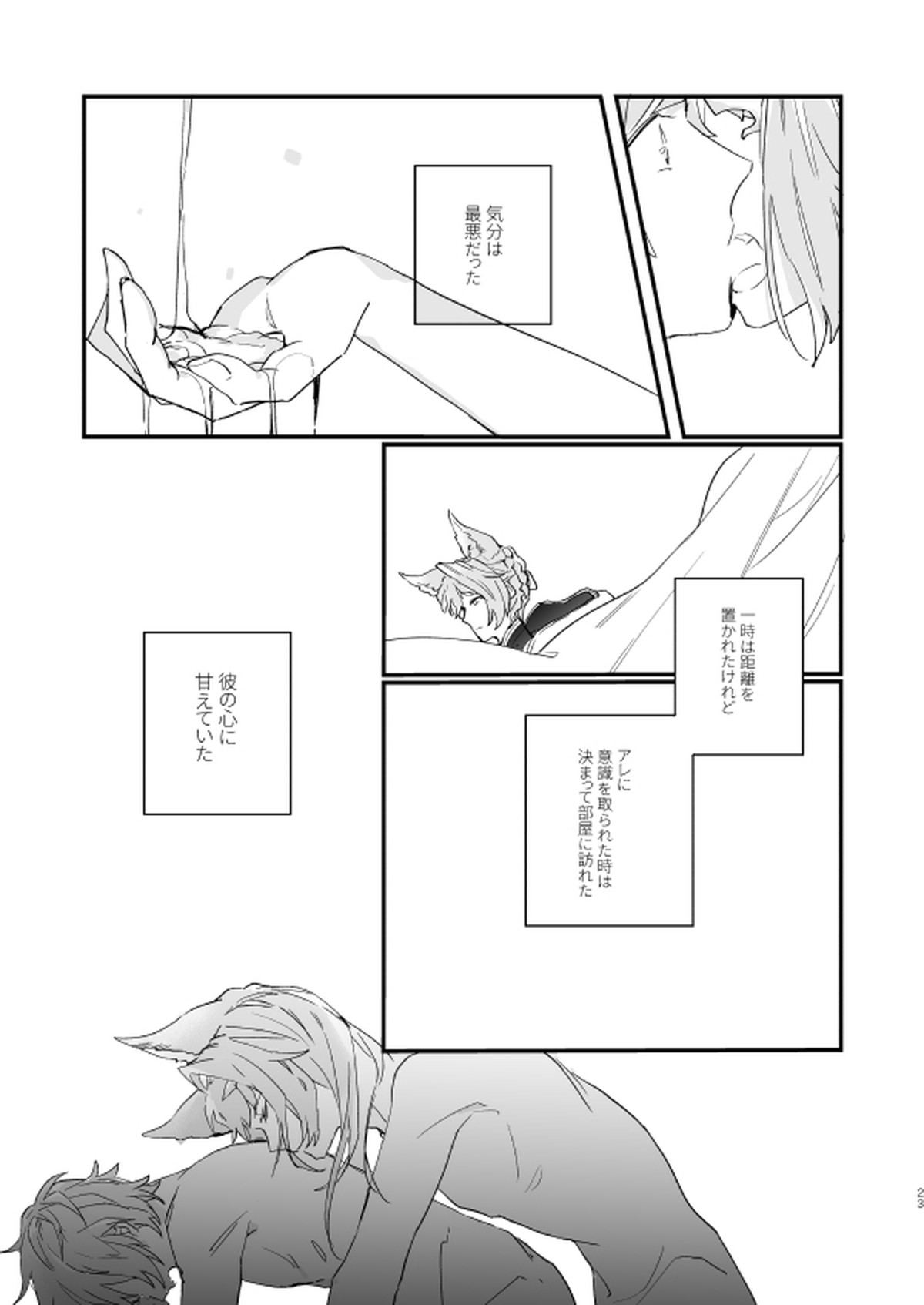 アドアステラ・インサニア【グランブルーファンタジー/カトグラ】 page 21