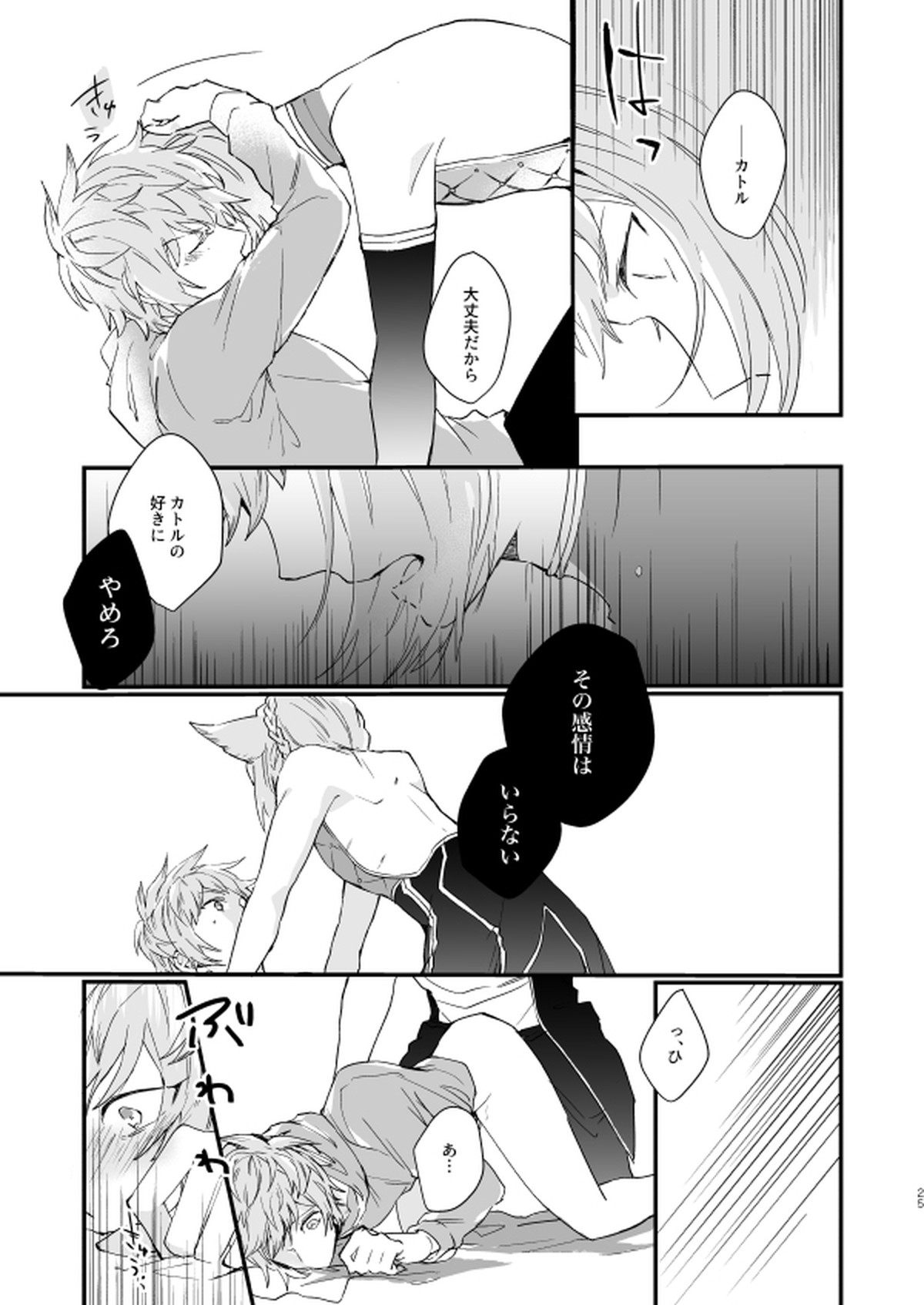 アドアステラ・インサニア【グランブルーファンタジー/カトグラ】 page 23