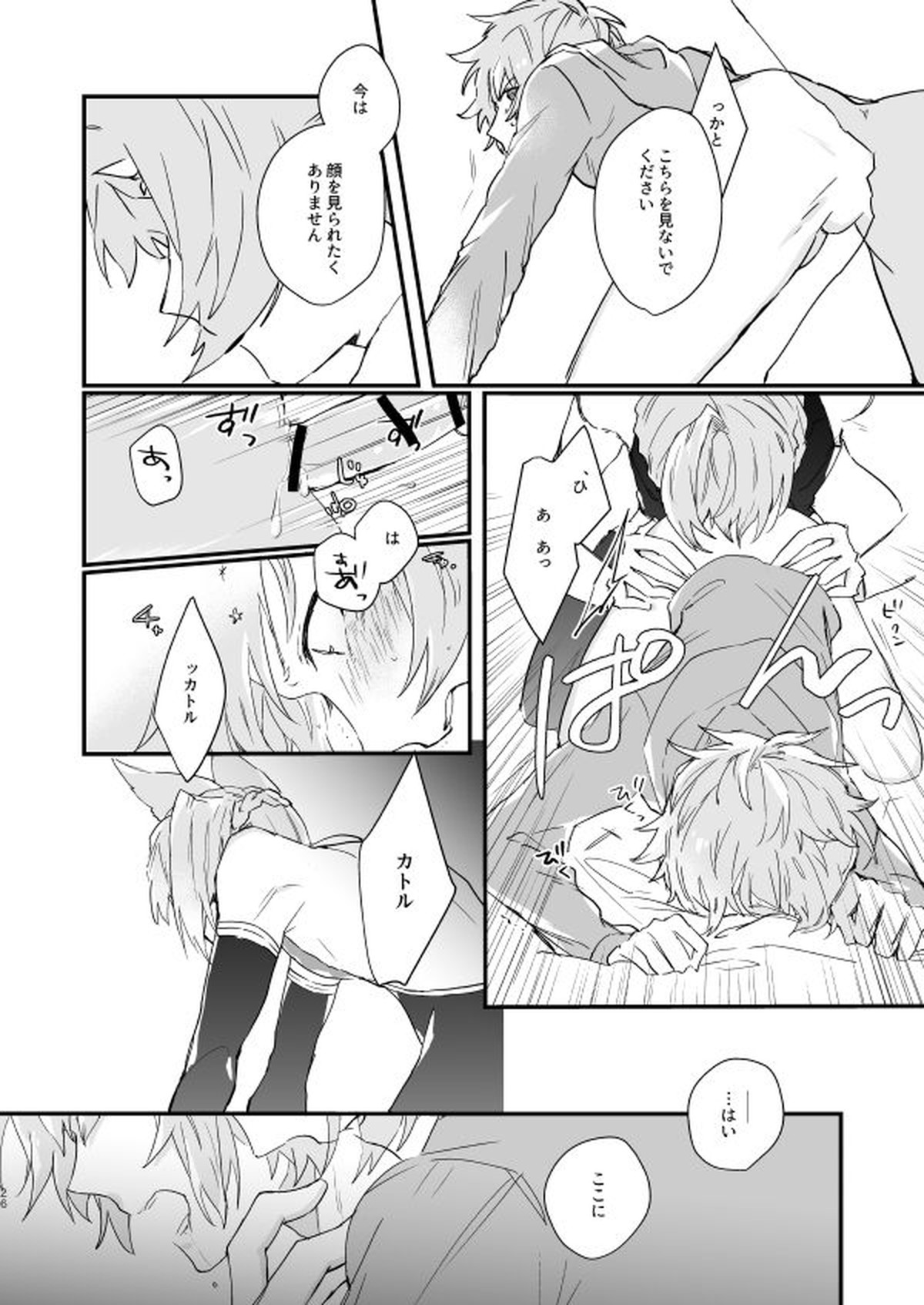 アドアステラ・インサニア【グランブルーファンタジー/カトグラ】 page 24
