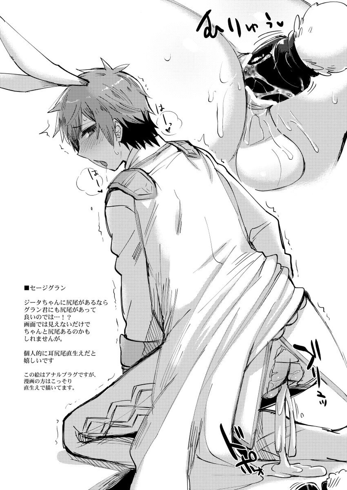 お願い団長さん【グランブルーファンタジー/モブグラ】 page 21
