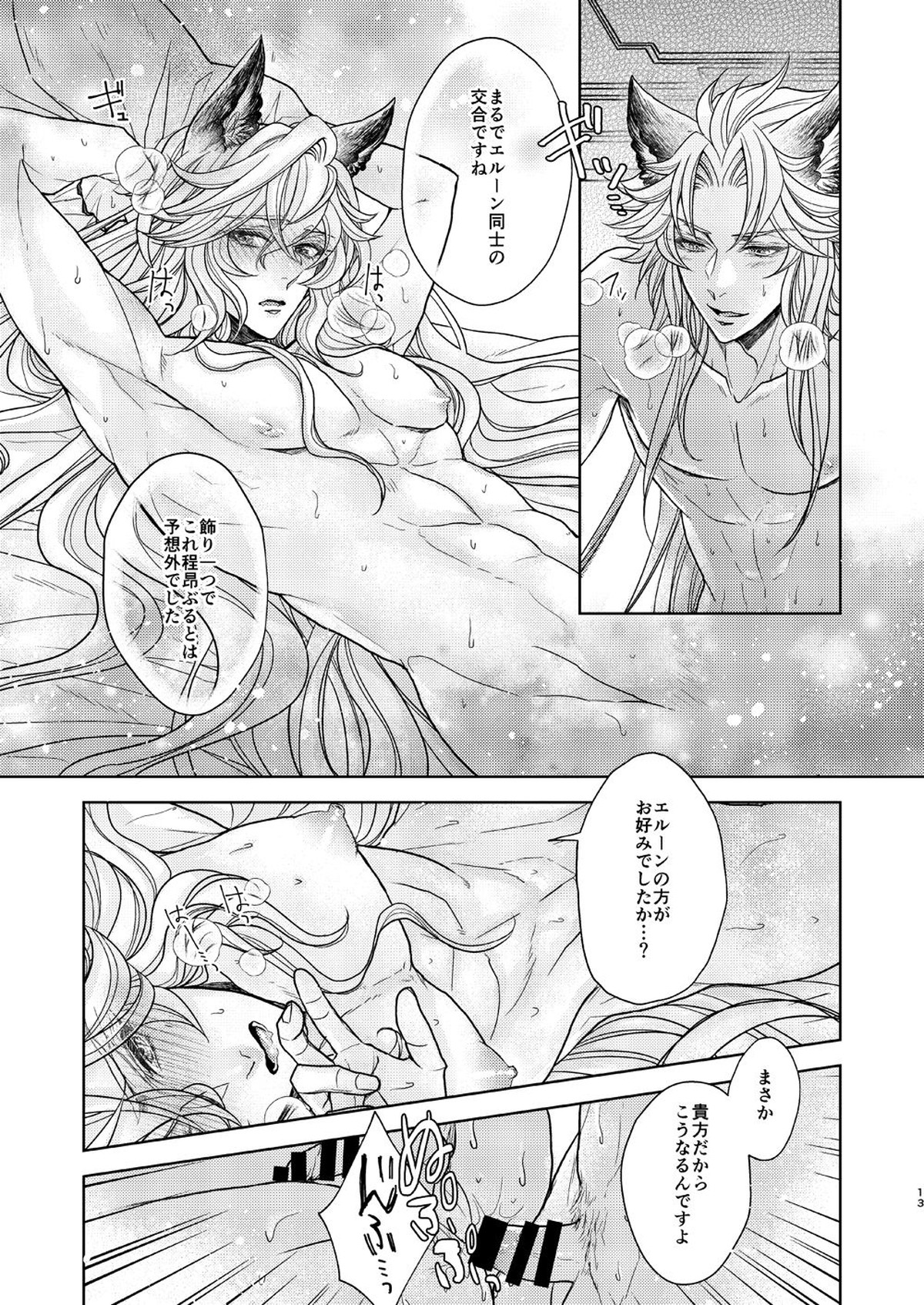 ある日、ケモ耳を買いまして【グランブルーファンタジー/セルエル×ノイシュ】 page 13