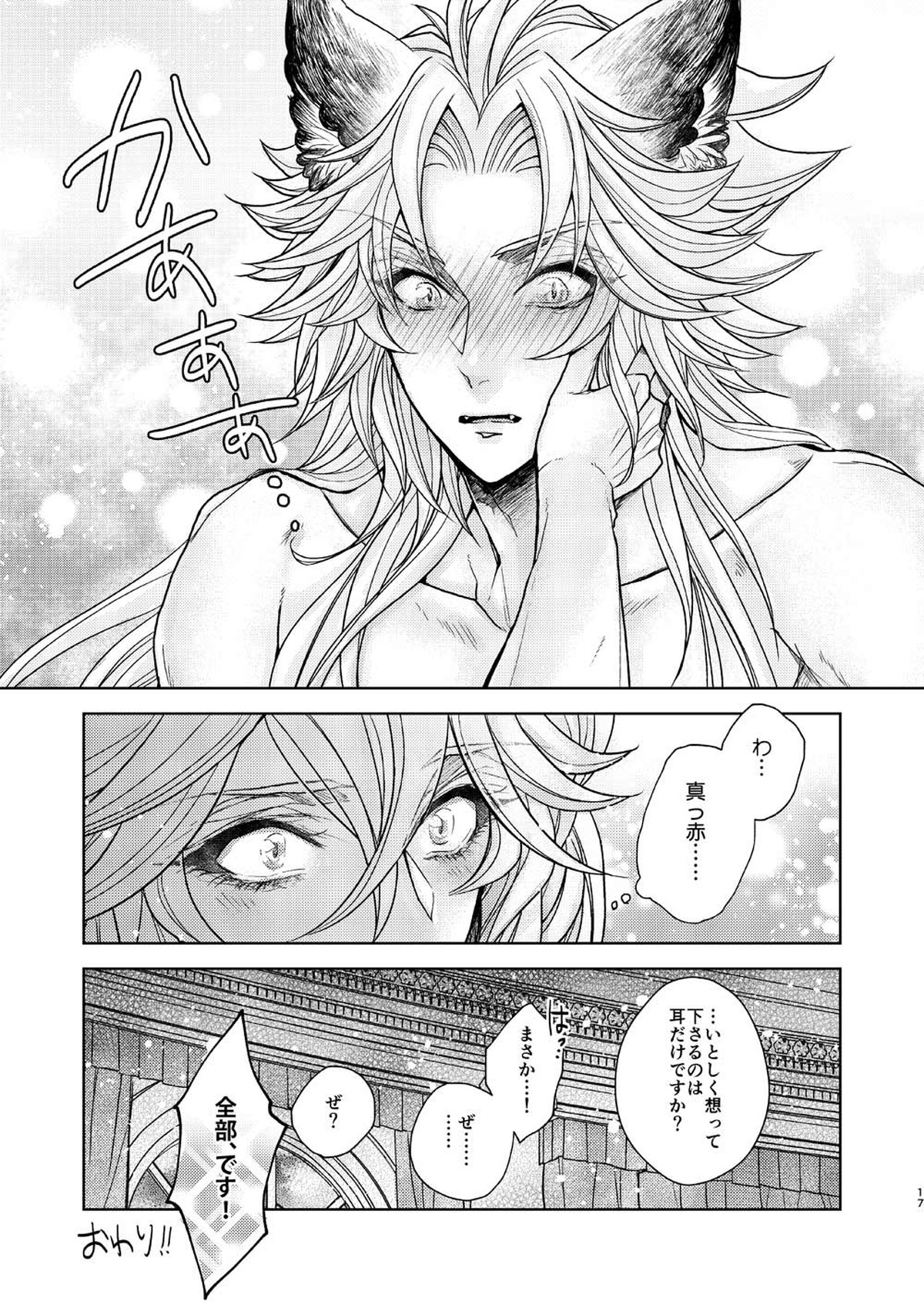 ある日、ケモ耳を買いまして【グランブルーファンタジー/セルエル×ノイシュ】 page 17