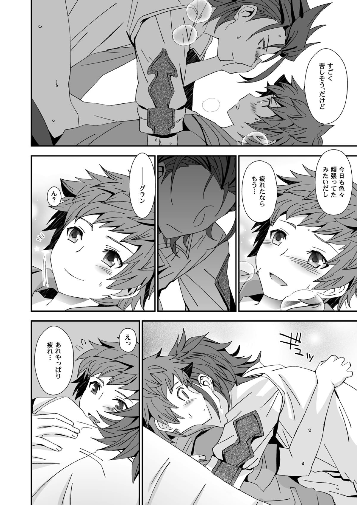 団長殿には理解が出来ない【グランブルーファンタジー/パーグラ】 page 11