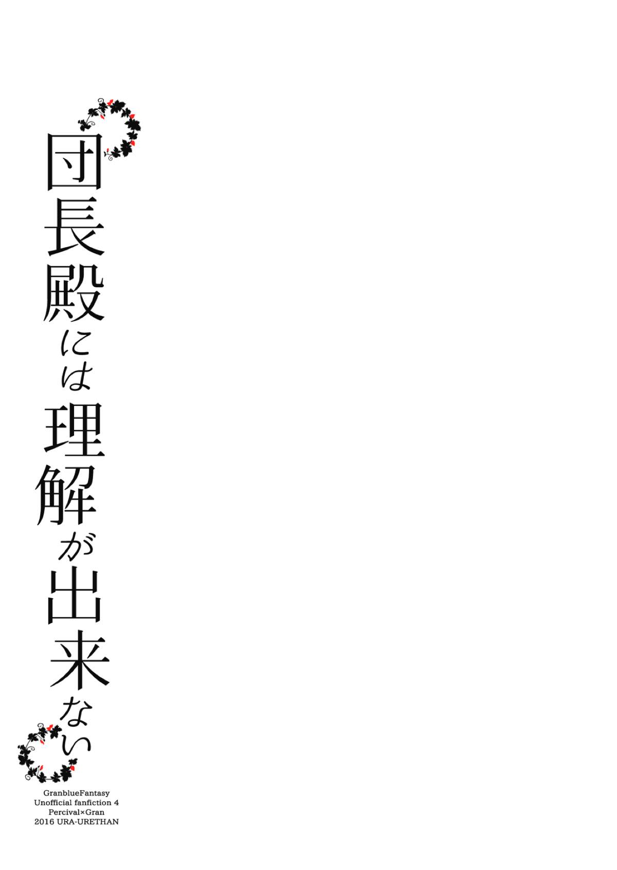 団長殿には理解が出来ない【グランブルーファンタジー/パーグラ】 page 16