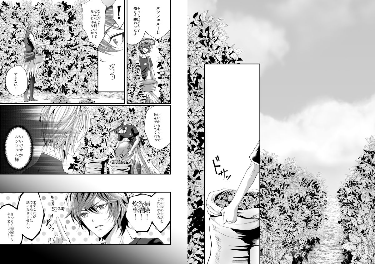 I WILL MAKE YOU HAPPY!【グランブルーファンタジー/ルシサン】 page 21