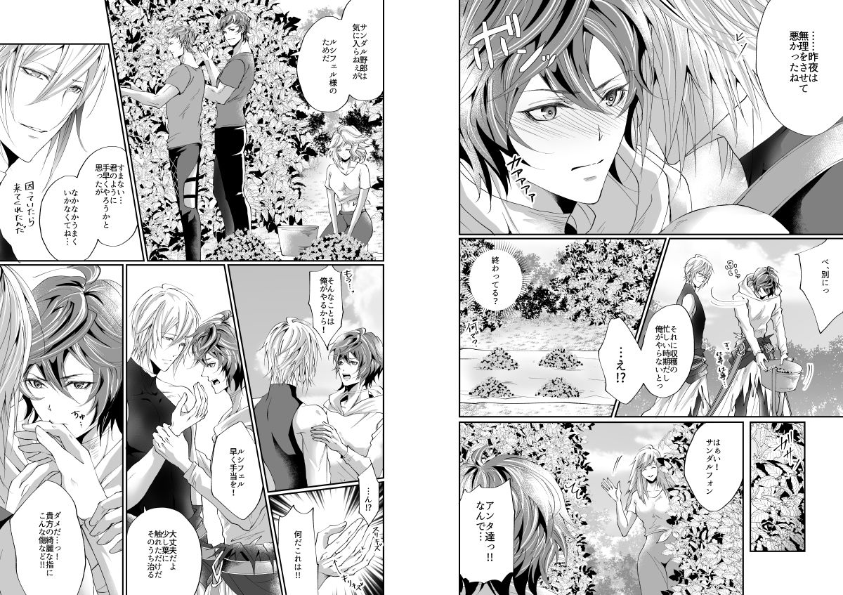 I WILL MAKE YOU HAPPY!【グランブルーファンタジー/ルシサン】 page 40