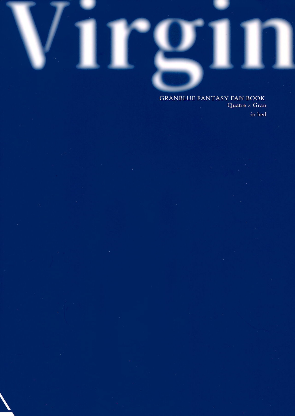 Virgin【グランブルーファンタジー/カトグラ】 page 22