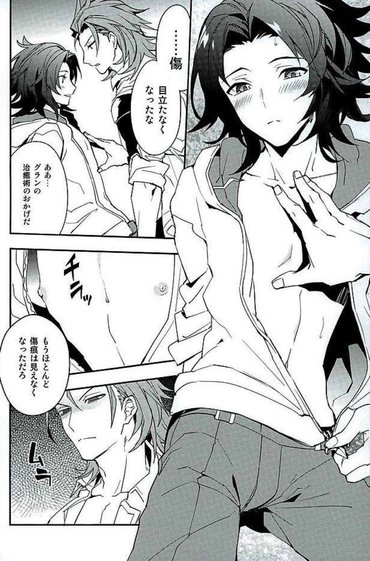 パーフェクトサマーバケーション【グランブルーファンタジー/パシラン】 page 11