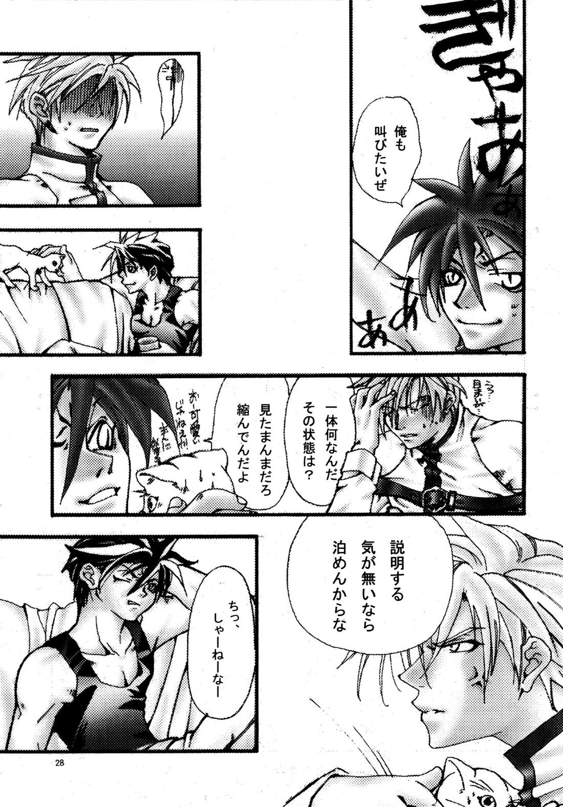 愛する者に接吻を【ギルティギア/ソルカイ】 page 27