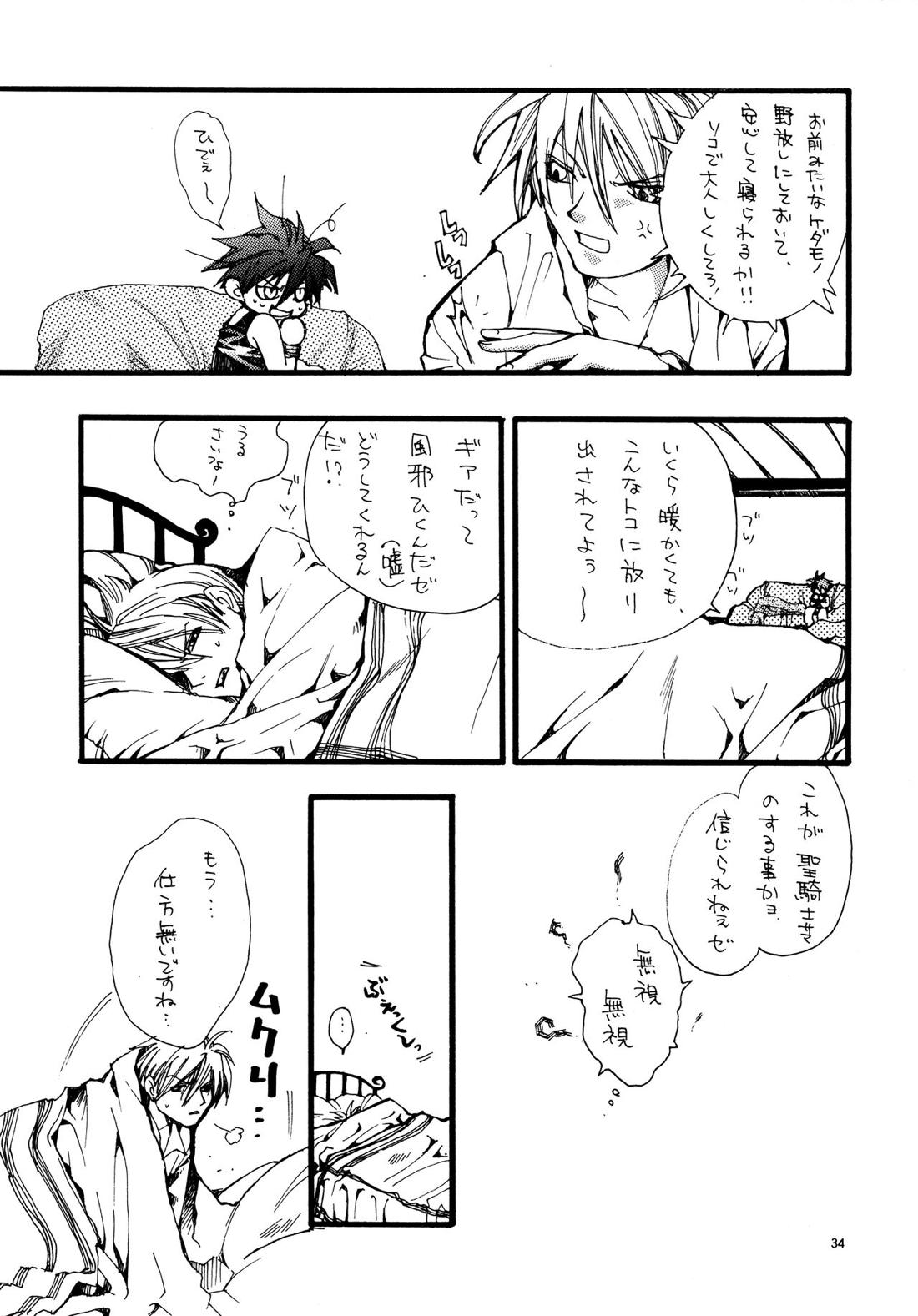愛する者に接吻を【ギルティギア/ソルカイ】 page 33