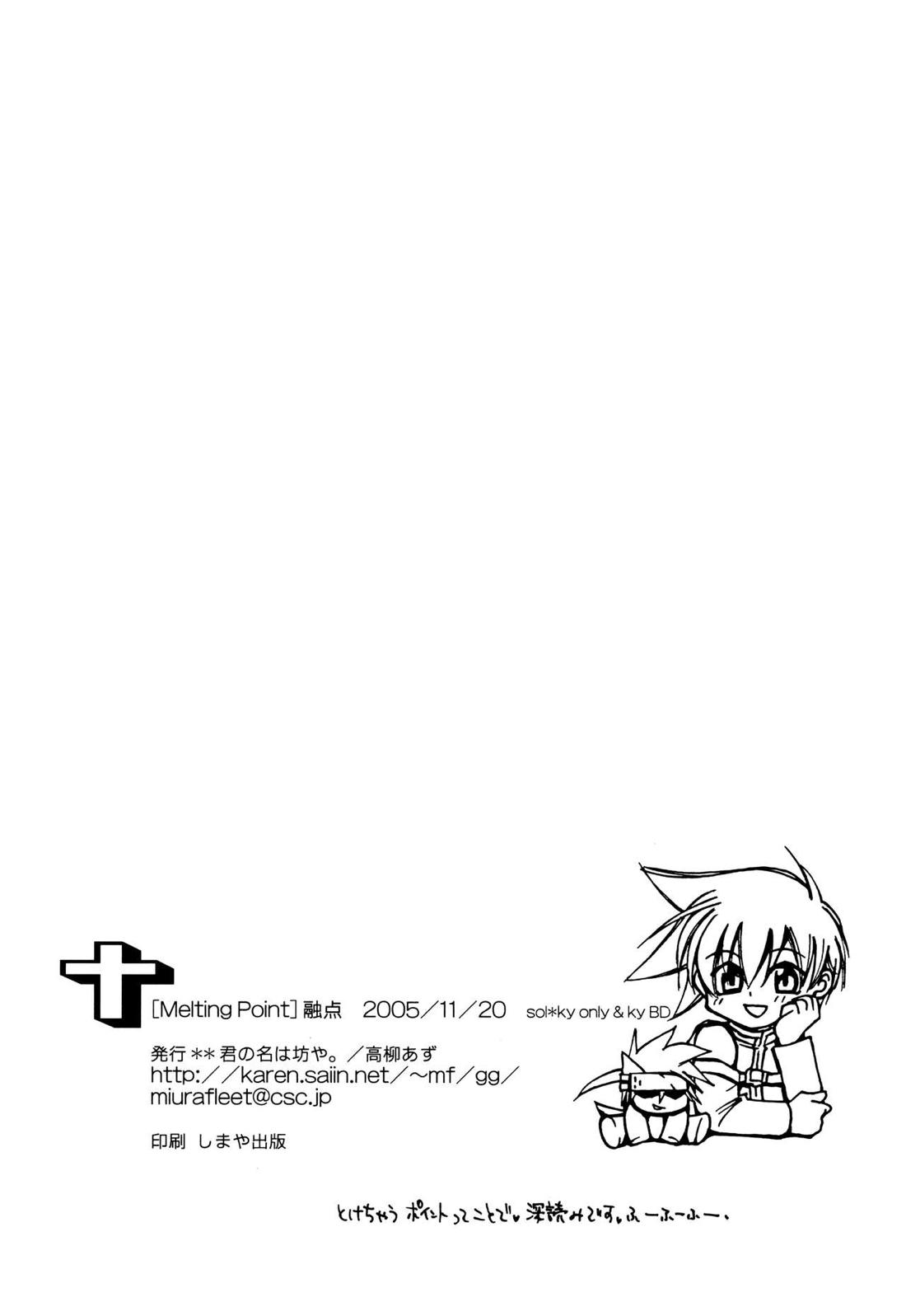 融点【ギルティギア/ソルカイ】 page 29