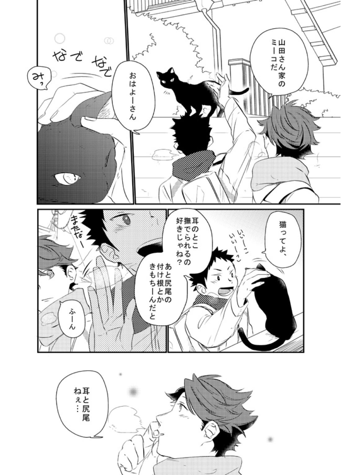ぼくはドリーマー【ハイキュー!!/及岩】 page 16