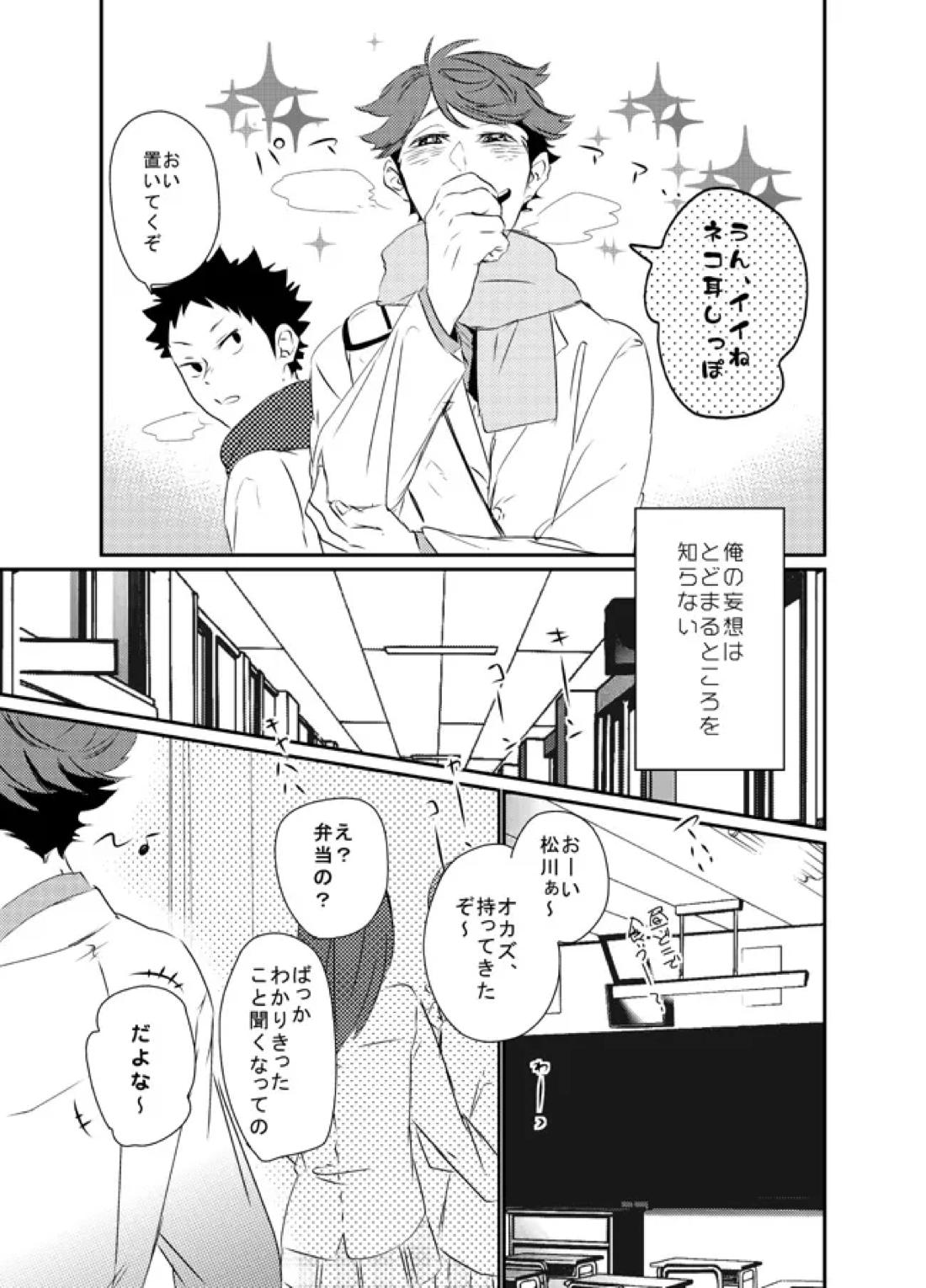 ぼくはドリーマー【ハイキュー!!/及岩】 page 18