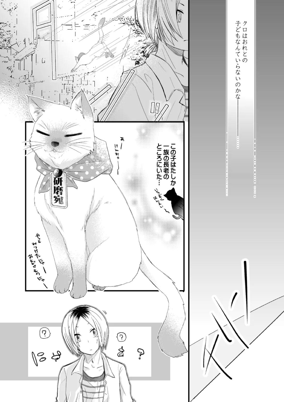 黒猫と三毛猫の新婚生活録【ハイキュー!!/黒弧】 page 11