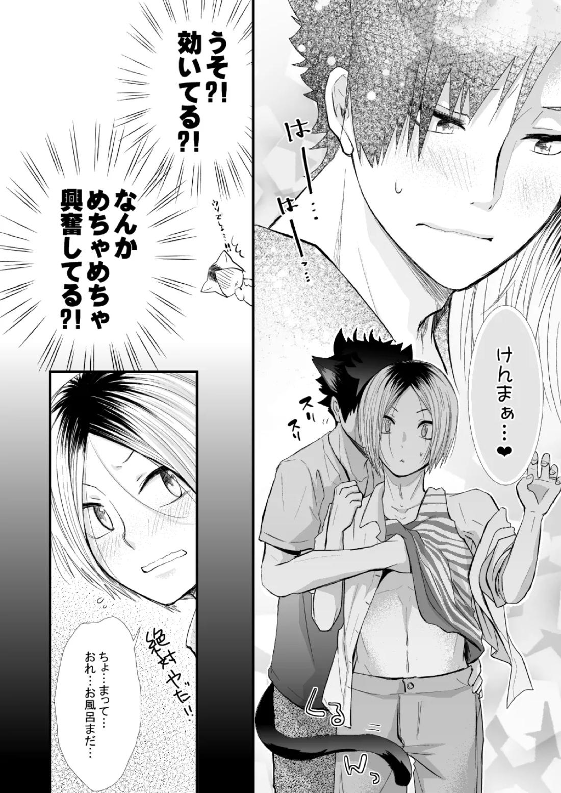 黒猫と三毛猫の新婚生活録【ハイキュー!!/黒弧】 page 15
