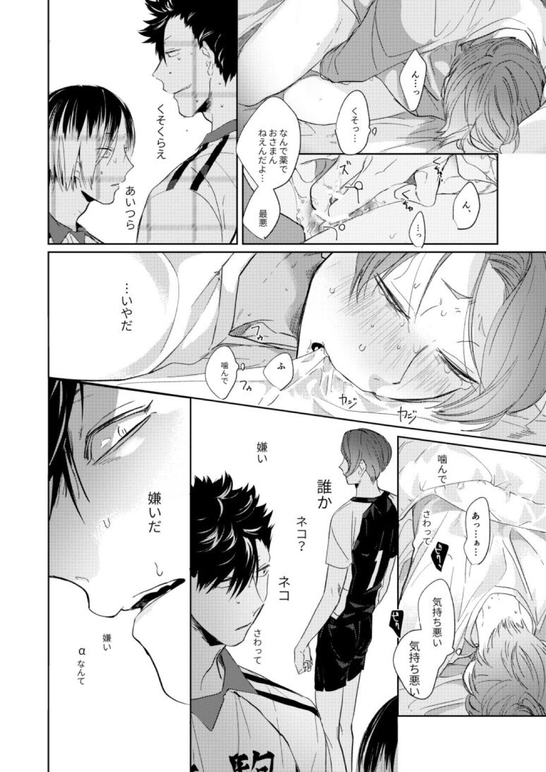 子猫みたいに抱き寄せたい【ハイキュー!!/研クロ】 page 15