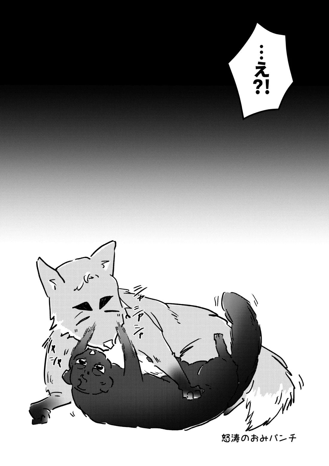 人でなしの体温【ハイキュー!!】 page 35