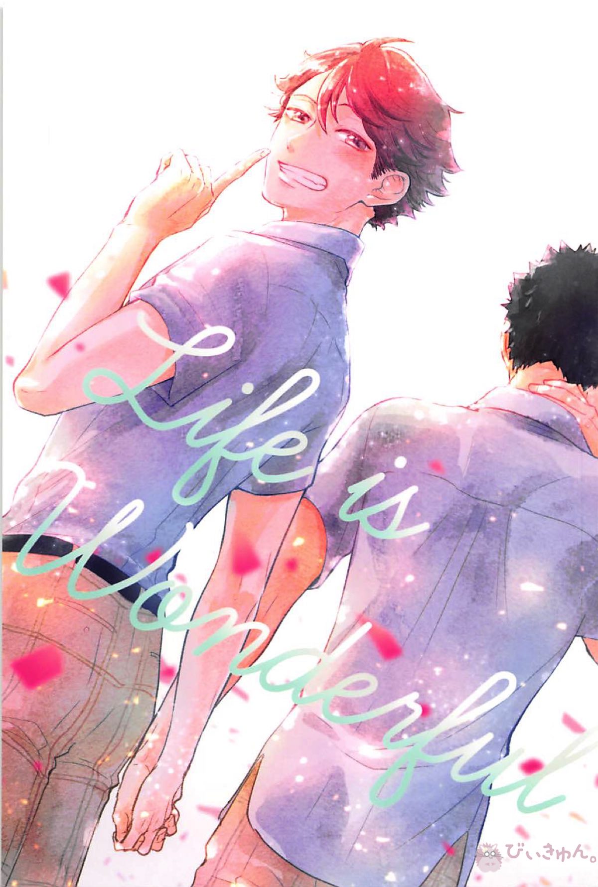 Life is Wonderful【ハイキュー!!/岩及】