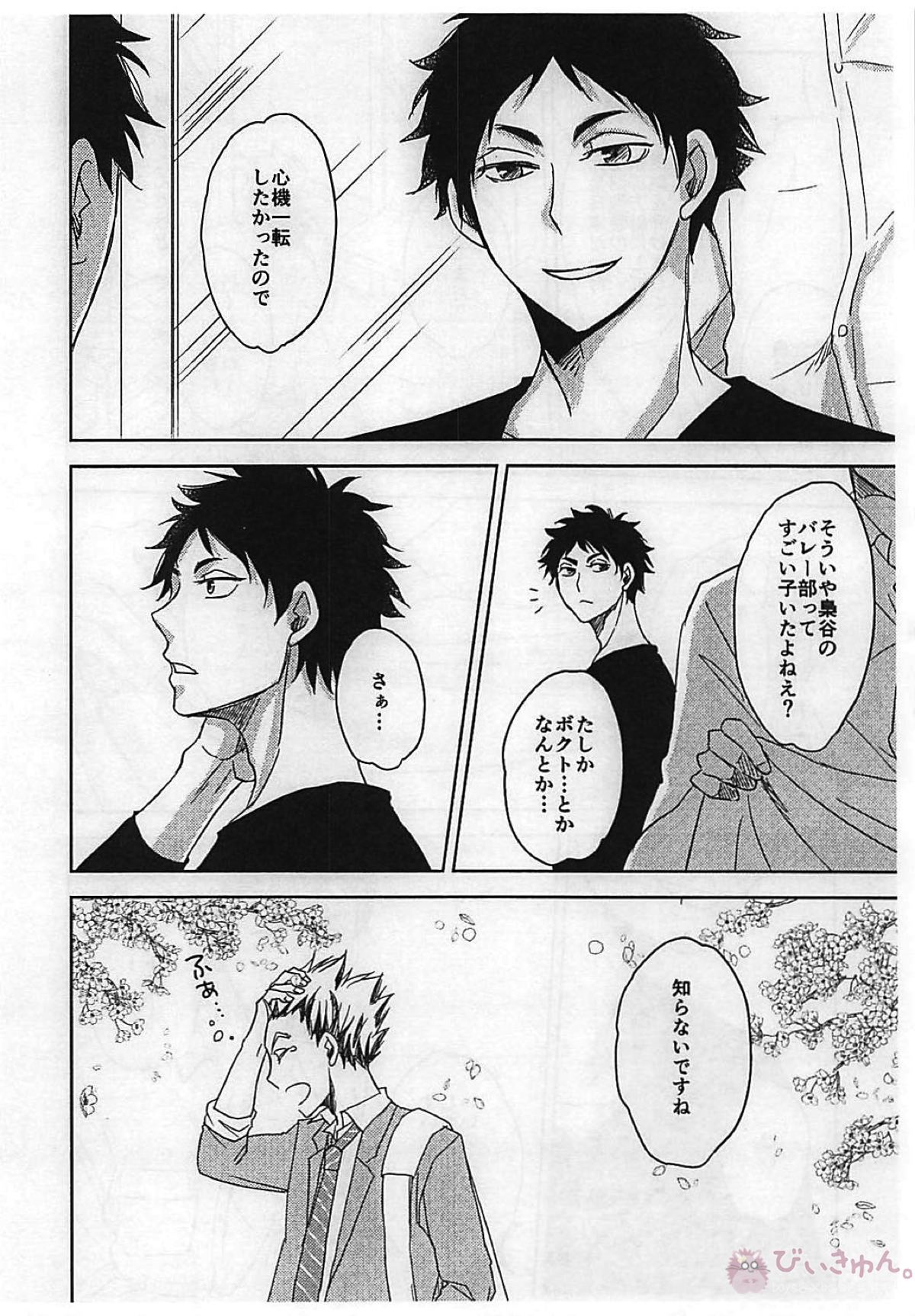 ゼロとマイナス【ハイキュー!!/兎赤】 page 17