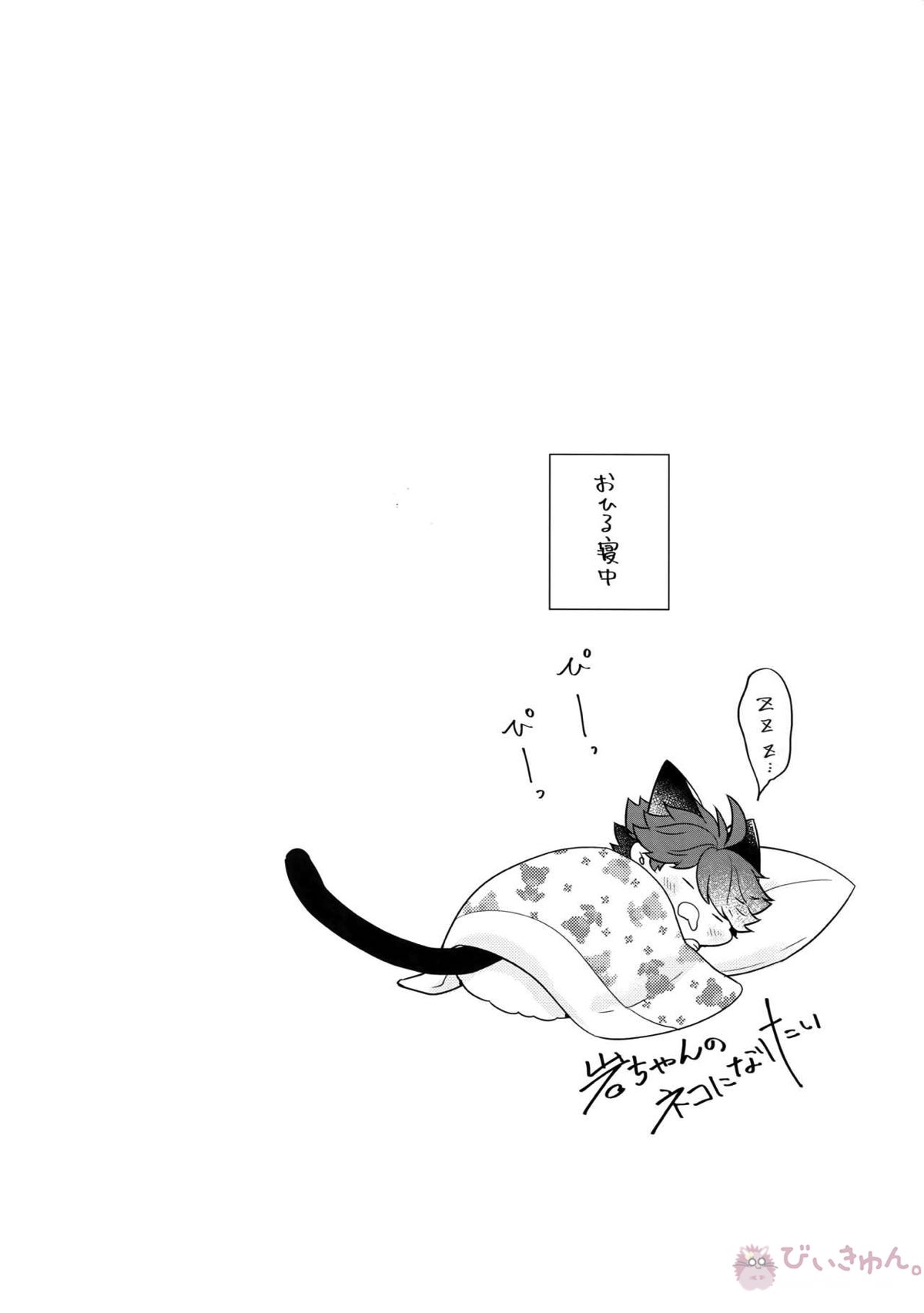 岩ちゃんのネコになりたい6【ハイキュー!!/岩及】 page 17