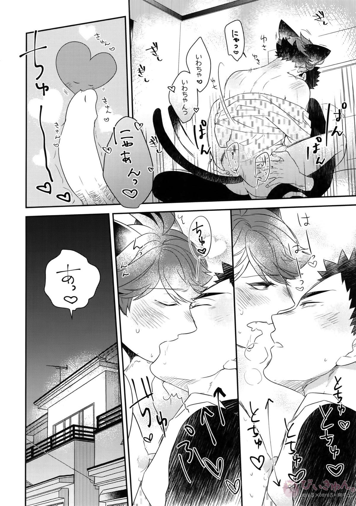 岩ちゃんのネコになりたい6【ハイキュー!!/岩及】 page 33