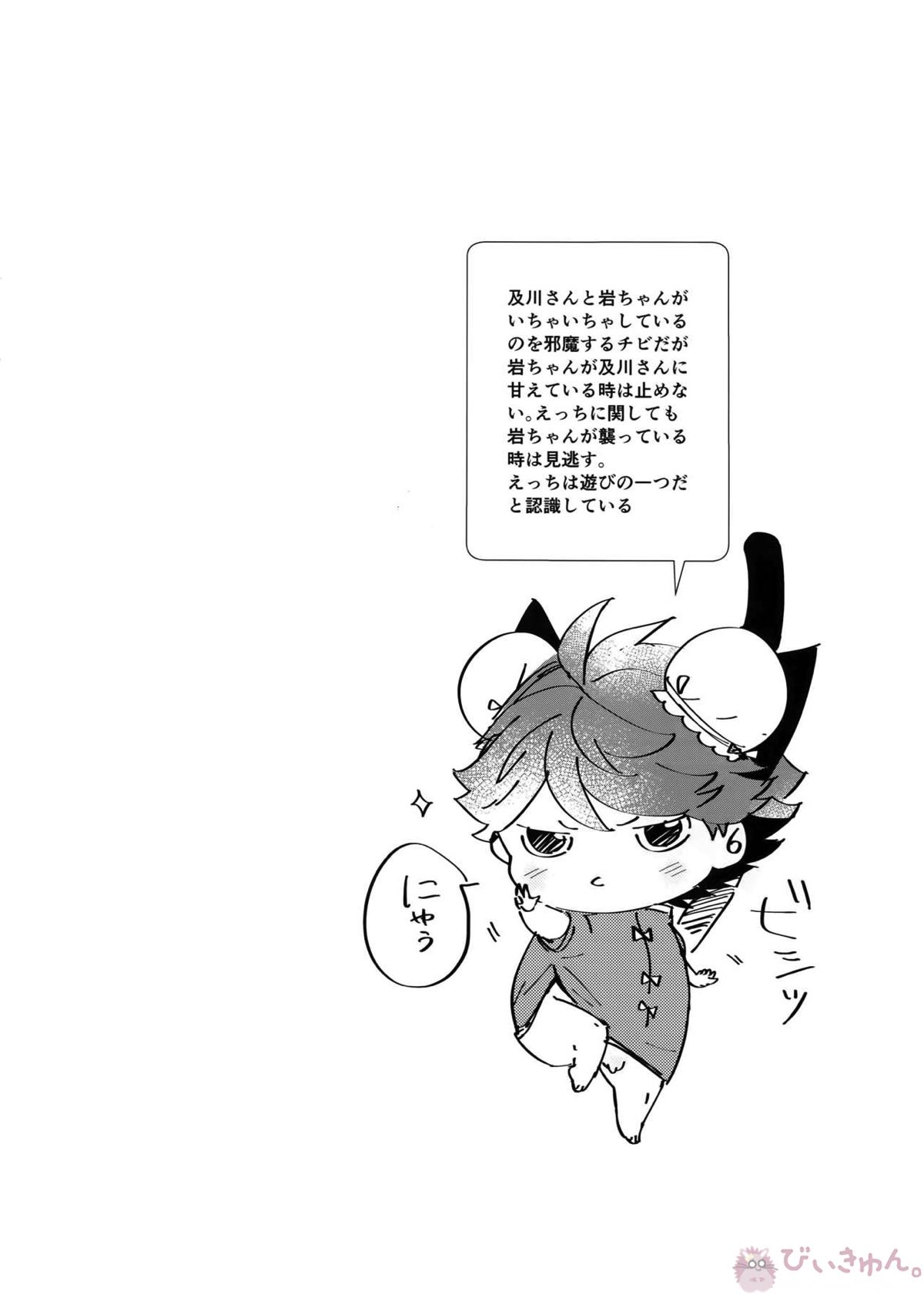 岩ちゃんのネコになりたい7【ハイキュー!!/岩及】 page 11