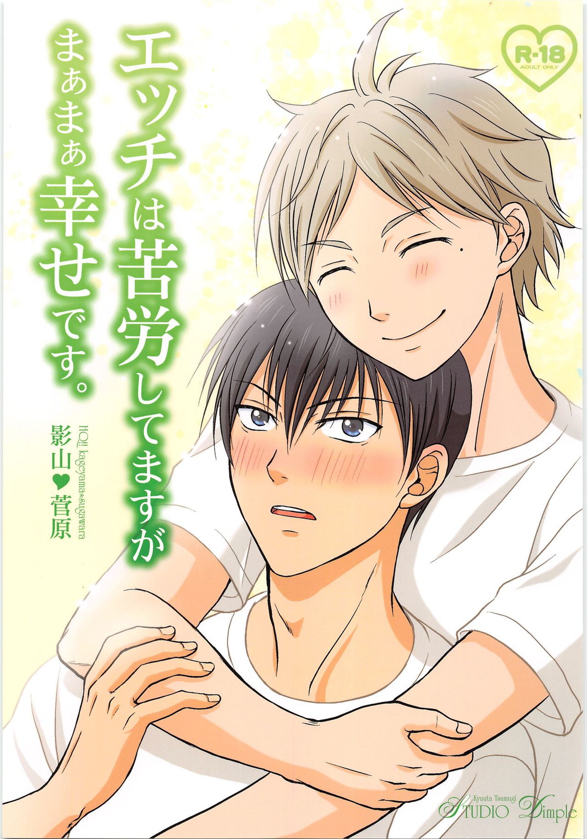 エッチは苦労してますがまぁまぁ幸せです【ハイキュー!!/影菅】
