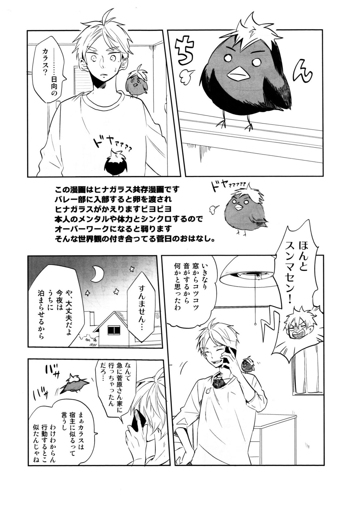 LOVEPOTION【ハイキュー!!/菅原×日向】 page 47
