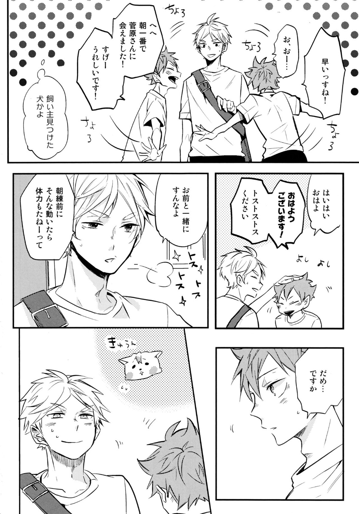 ORANGE CANDY【ハイキュー!!/菅原×日向】 page 11
