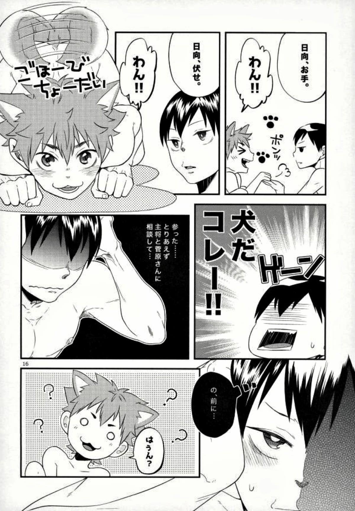 俺の彼氏が犬に取り憑かれまして。【ハイキュー!!/日影】 page 15