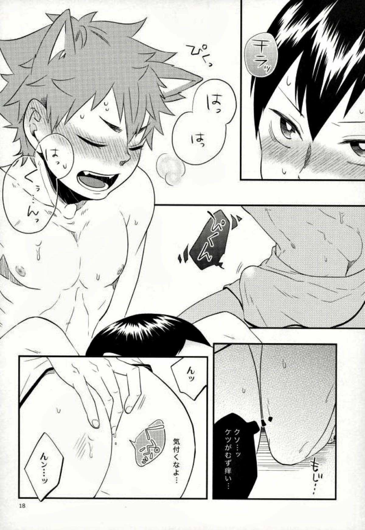 俺の彼氏が犬に取り憑かれまして。【ハイキュー!!/日影】 page 17