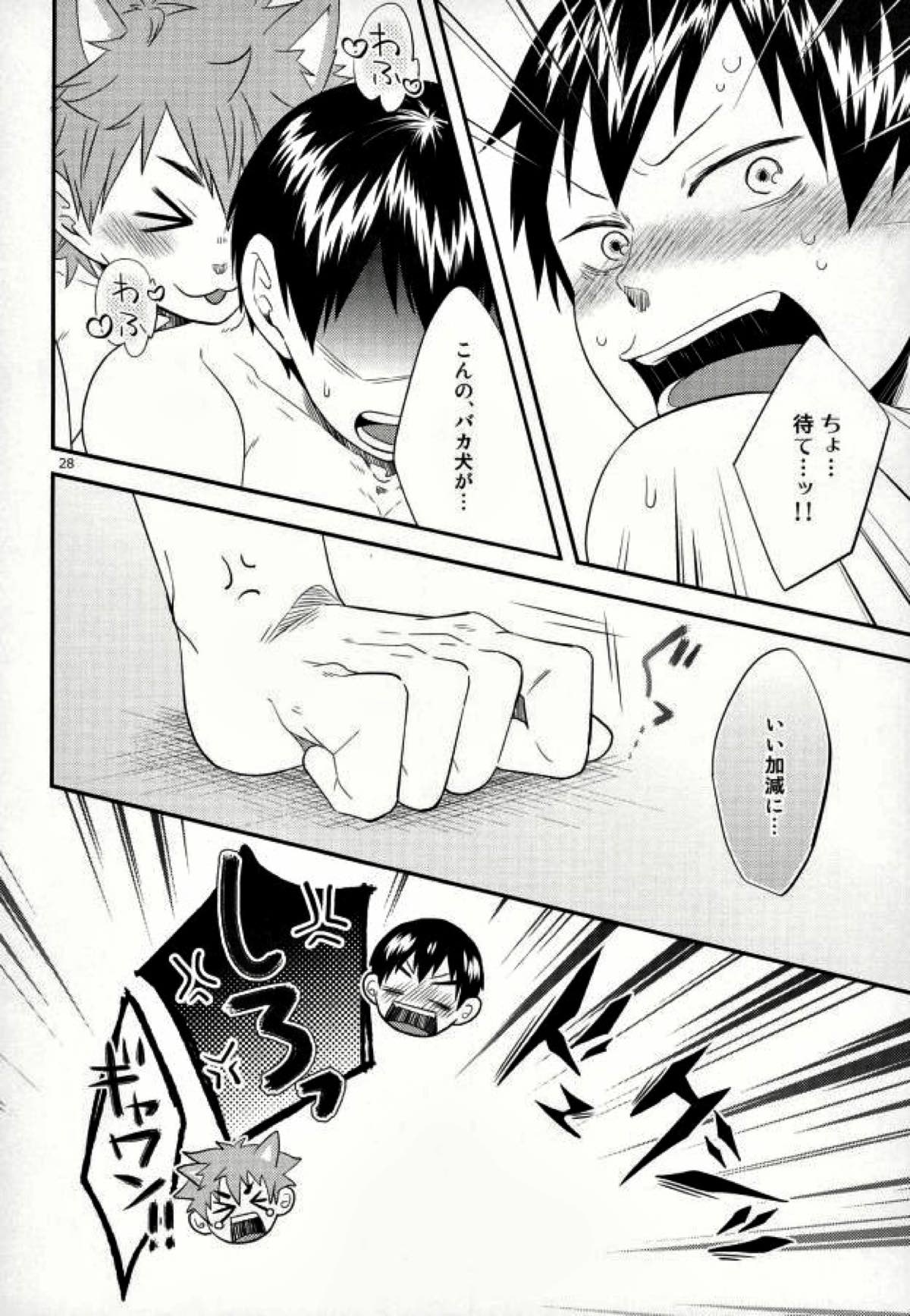 俺の彼氏が犬に取り憑かれまして。【ハイキュー!!/日影】 page 27