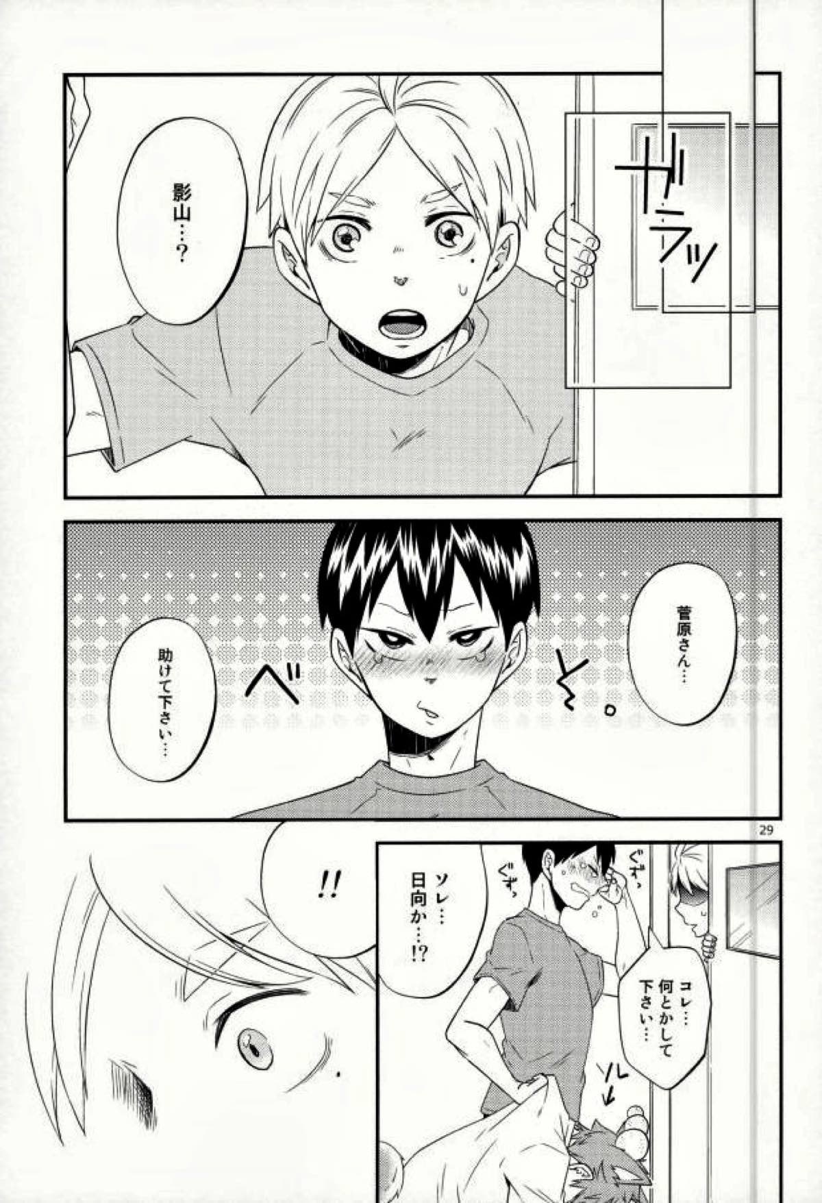 俺の彼氏が犬に取り憑かれまして。【ハイキュー!!/日影】 page 28