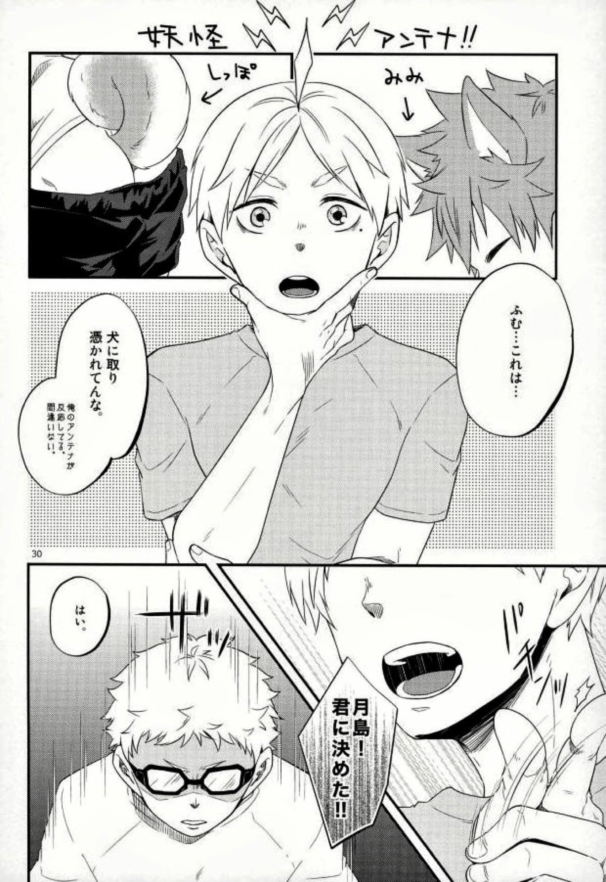 俺の彼氏が犬に取り憑かれまして。【ハイキュー!!/日影】 page 29