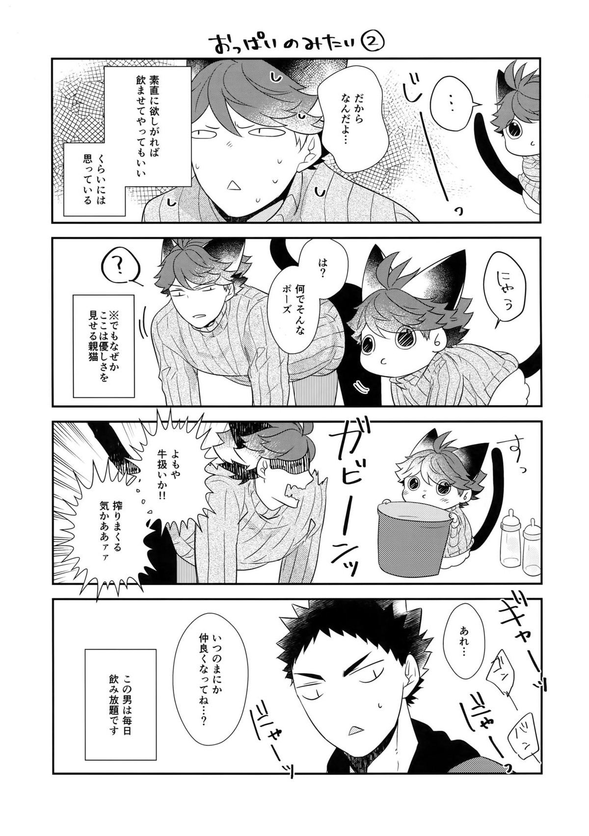 岩ちゃんのネコになりたい6【ハイキュー!!/岩及】 page 14