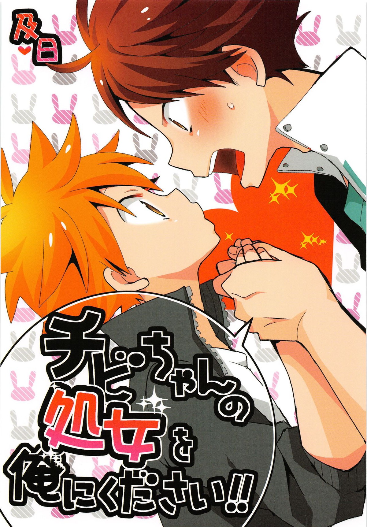 チビちゃんの処女を俺にください!!【ハイキュー!!/及日】
